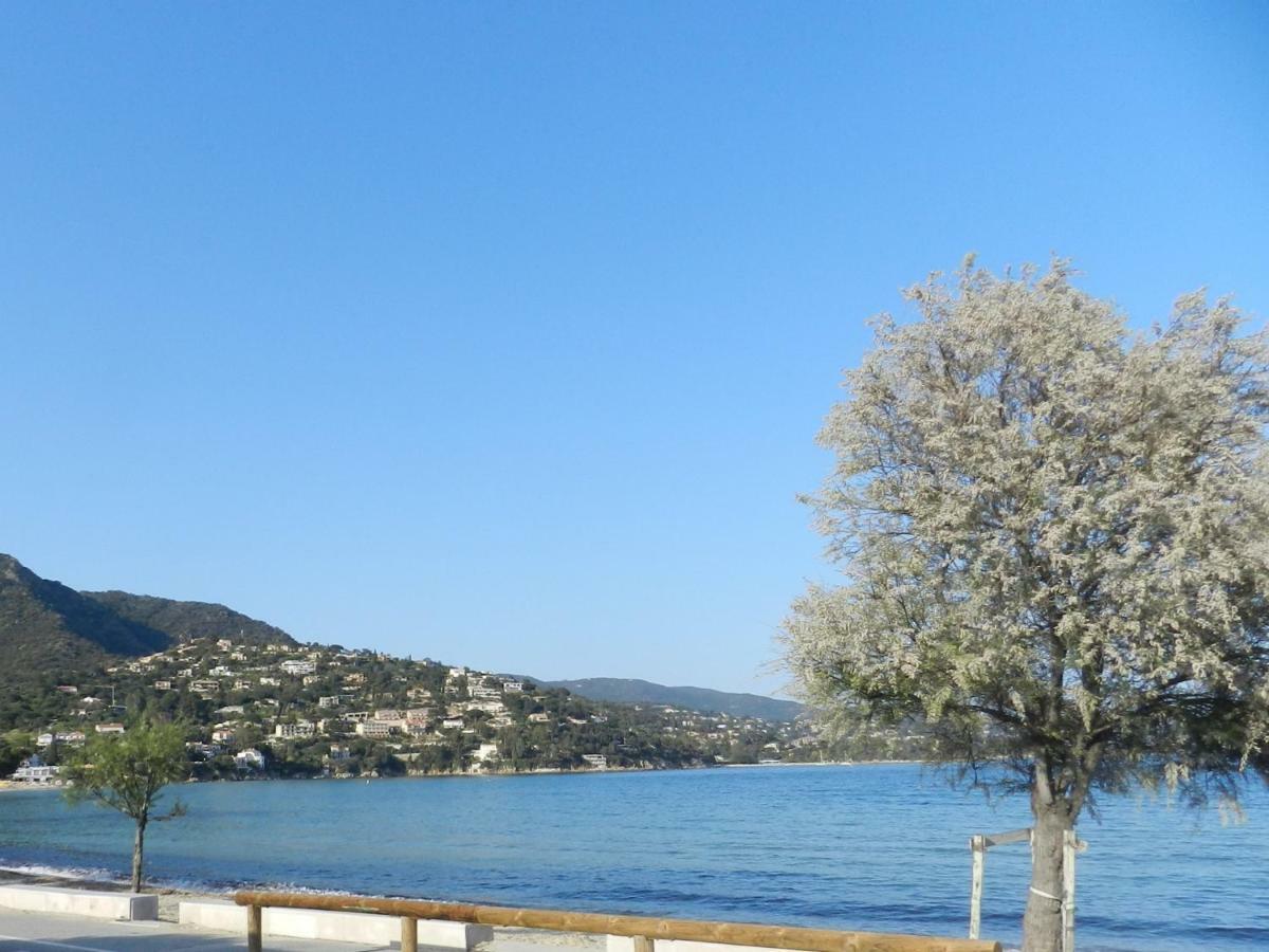 Appartement Les Pieds Dans L'Eau ! Le Lavandou Exteriér fotografie
